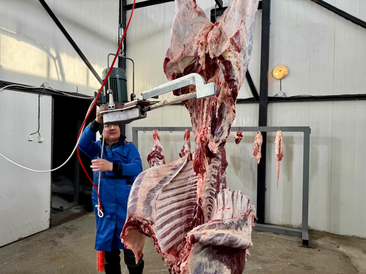 شەڭگەلدى اۋىلىندا مال سويۋ پۋنكتى ىسكە قوسىلدى