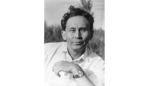 دانانى سومداعان حاكىمجان