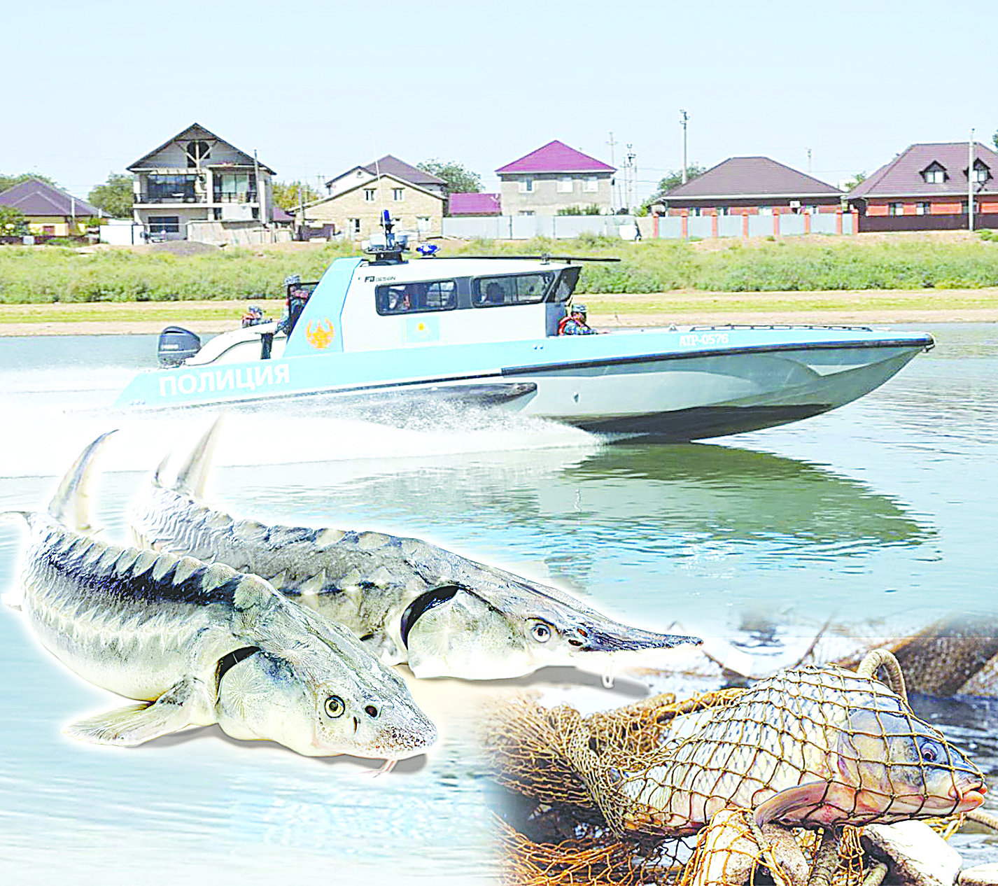 وسكەمەندە زاڭسىز اۋلانعان 4 توننادان استام بالىق تاركىلەندى