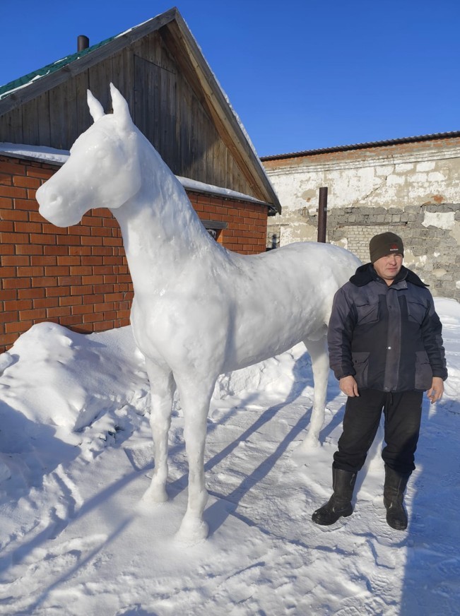 قاردان ءمۇسىن تۇرعىزدى