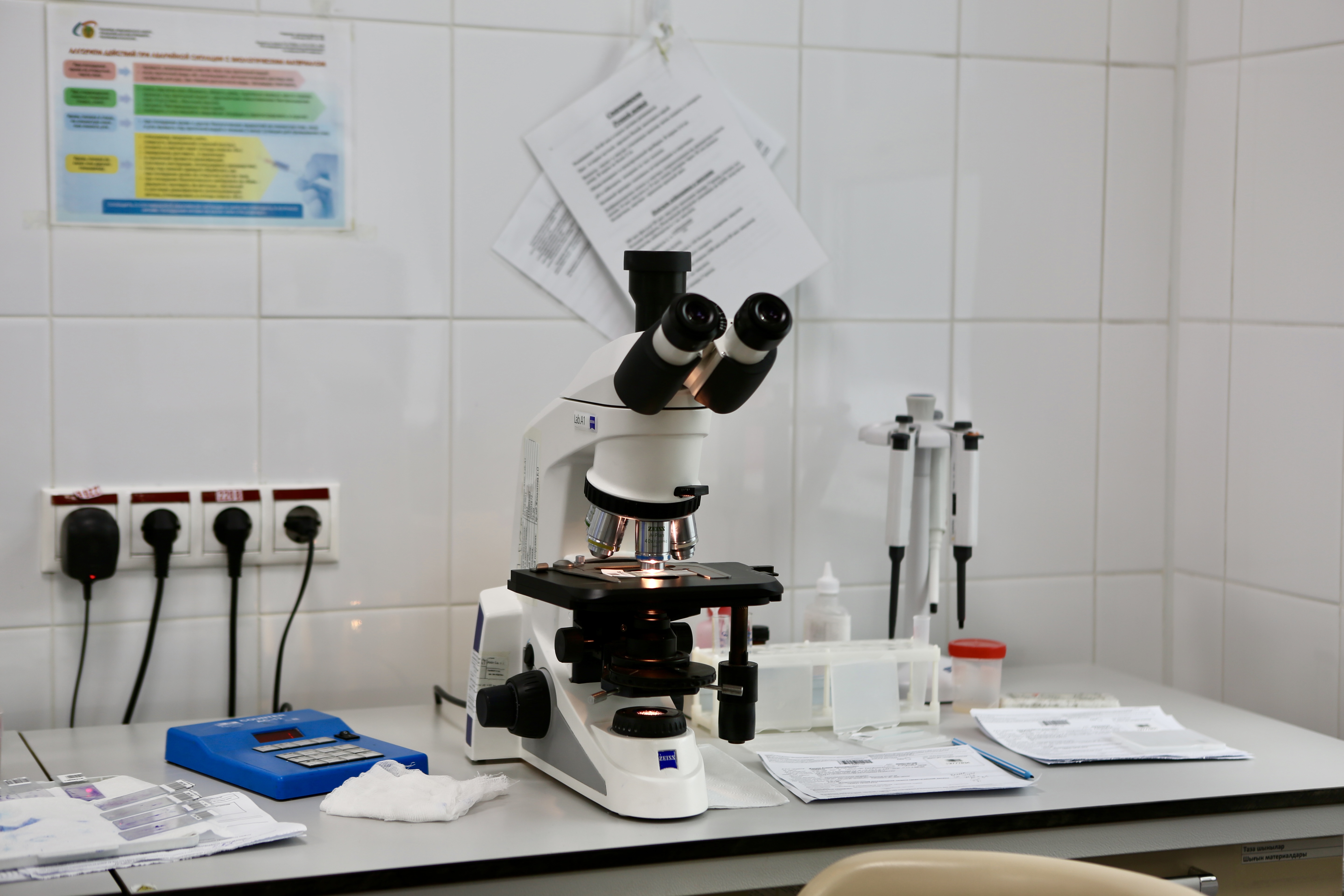 ەندى گورموندىق تالداۋلاردى جي ارقىلى جەدەل تەكسەرۋگە بولادى