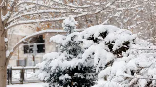 جاڭبىر مەن قار, بوران: ەرتەڭ ەلىمىزدە اۋا رايى قانداي بولادى؟