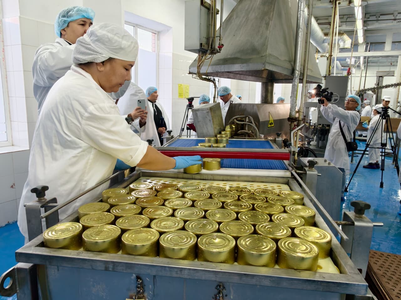 بۇقتىرىلعان كيىك ەتى ساۋداعا شىقتى