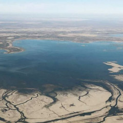 ارال تابانىن قالاي وازيسكە اينالدىرامىز؟