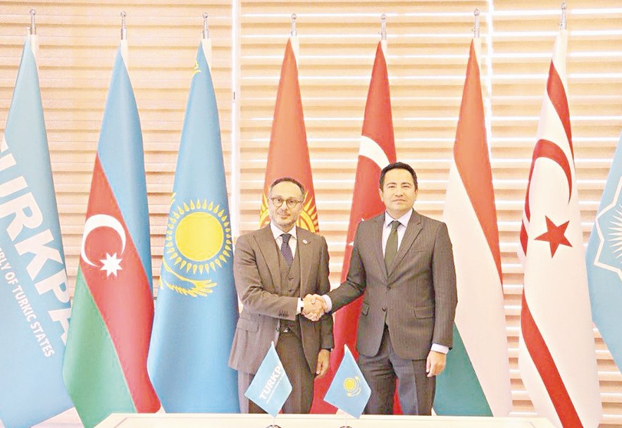 تۇركپا رەفەرەندۋمدى باقىلايدى