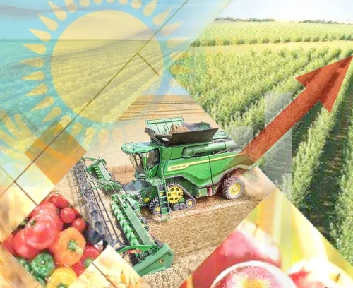 2025 جىلى 83 اۋىل جويىلدى: ەلدى مەكەندەردىڭ ەرتەڭگى تاعدىرى قانداي؟