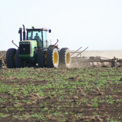 قوستاناي وبلىسىندا 5 ملن گەكتار القاپقا ەگىن ەگىلەدى