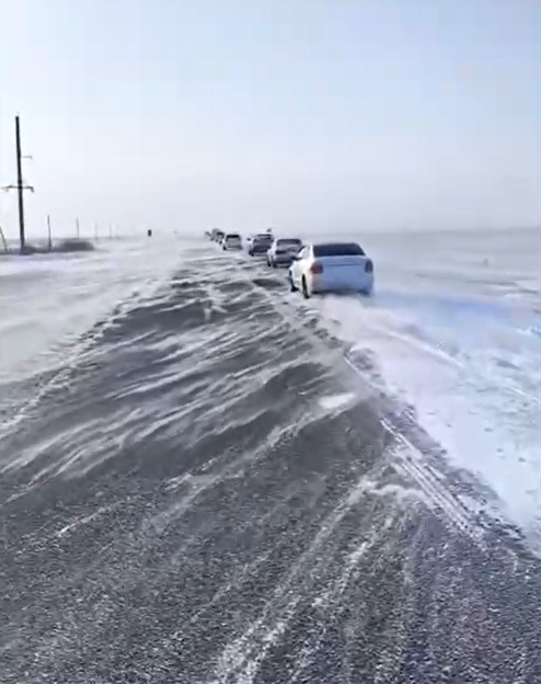 سقو-دا بورانعا بايلانىستى بارلىق باعىتتاعى جولدار جابىلدى