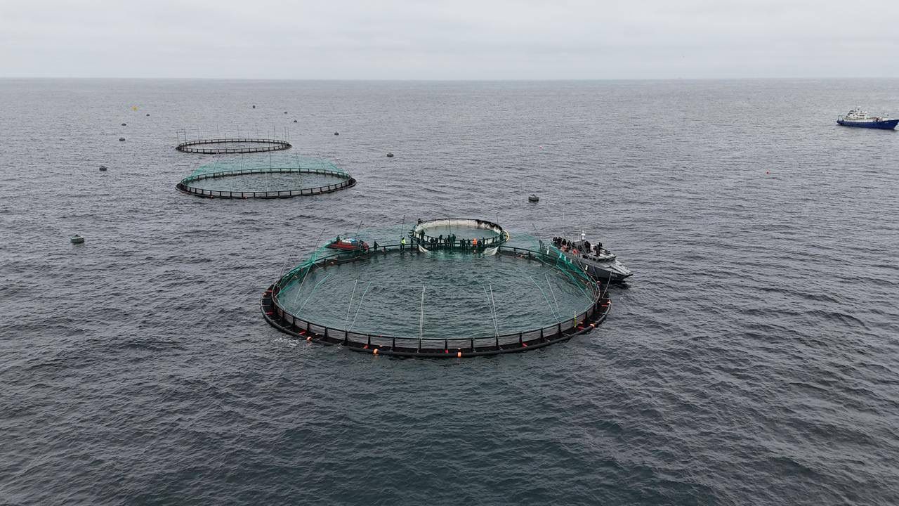 ايرىقشا اكۆامادەنيەت