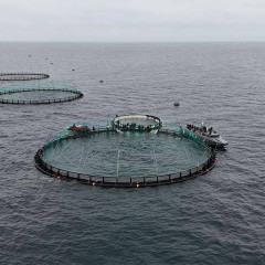 ايرىقشا اكۆامادەنيەت