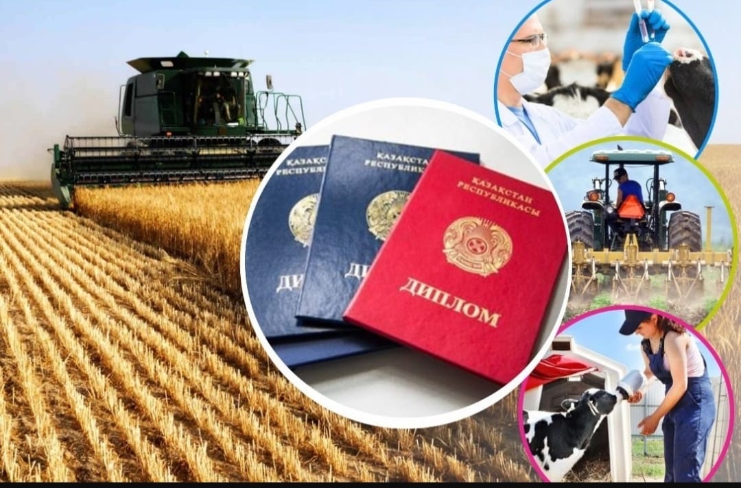 كەلەس اۋدانىنا «ديپلوممەن اۋىلعا» باعدارلاماسىمەن 120 مامان كەلدى