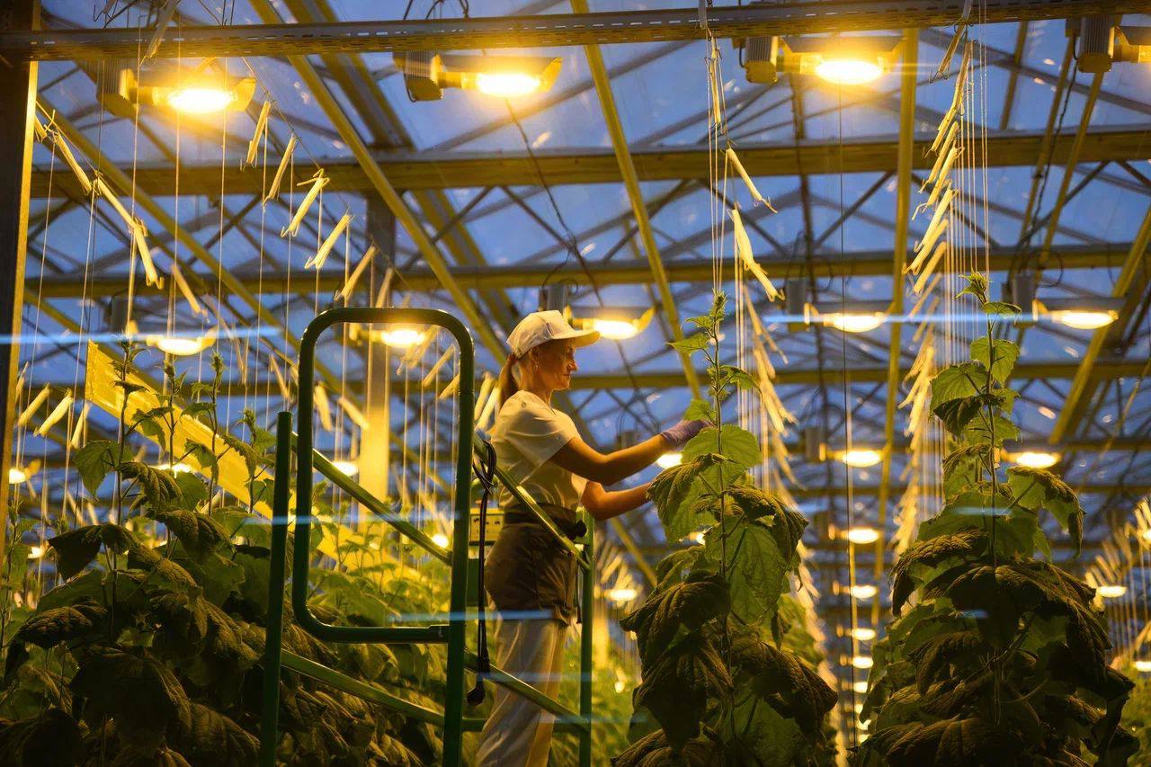 «زەلەنىي سەۆەر» ۇجىمىمەن كەزدەسۋدە كونستيتۋتسيا جوباسىنىڭ نەگىزگى ەرەجەلەرى تالقىلاندى