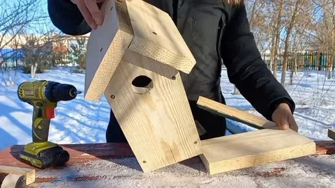 جامبىلدىق پوليتسەيلەر قۇستارعا ۇيا سالىپ بەردى