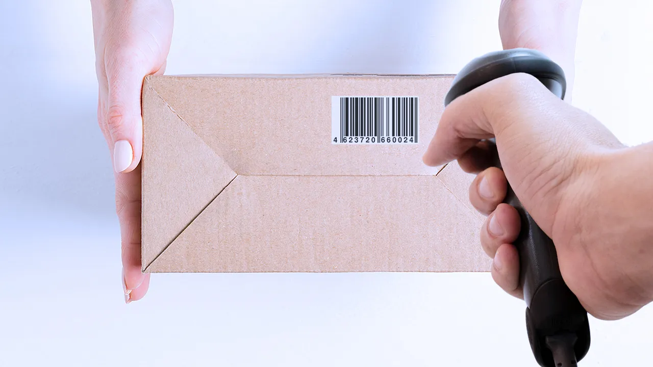 تسيفرلىق تاڭبالاۋ –  ساپانى قاداعالاۋ