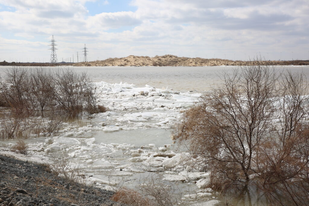الاڭداۋعا نەگىز جوق
