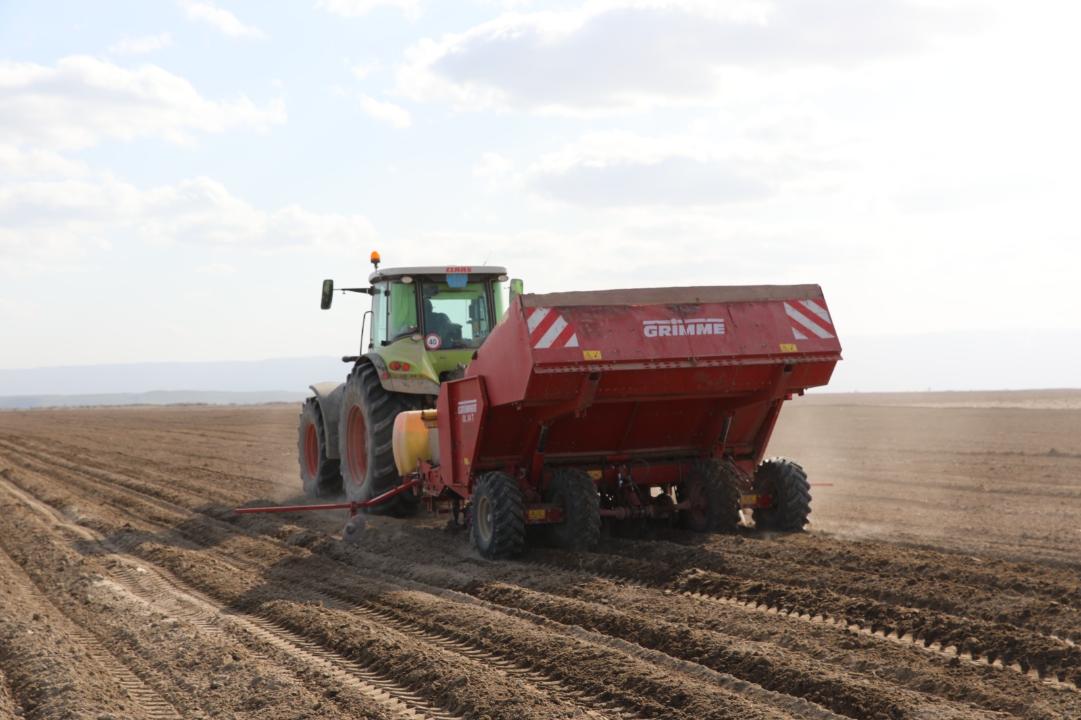 جامبىل وبلىسىندا 623,3 مىڭ گەكتارعا اۋىل شارۋاشىلىعى داقىلدارى ورنالاستىرىلادى