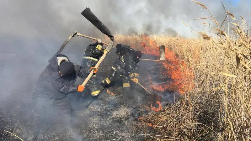 اتىراۋداعى العاباس اۋىلىنان 5 شاقىرىم قاشىقتا قامىس جانىپ جاتىر