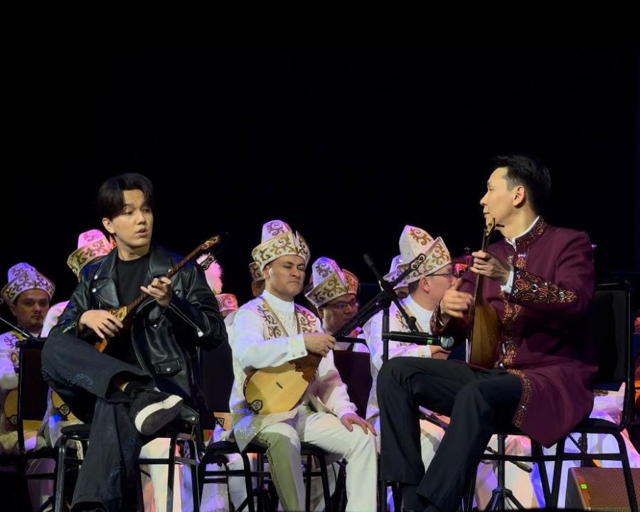 كۇي كۇمبىرلەگەن كەش