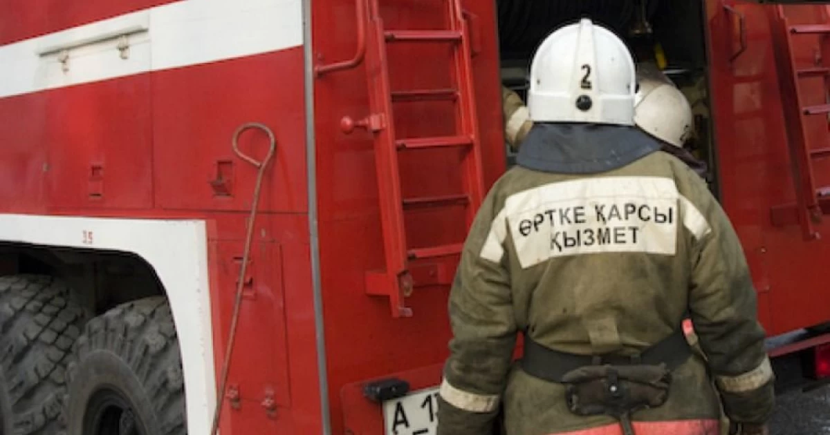 استانادا كوپ قاباتتى ۇيدەن ءورت شىقتى