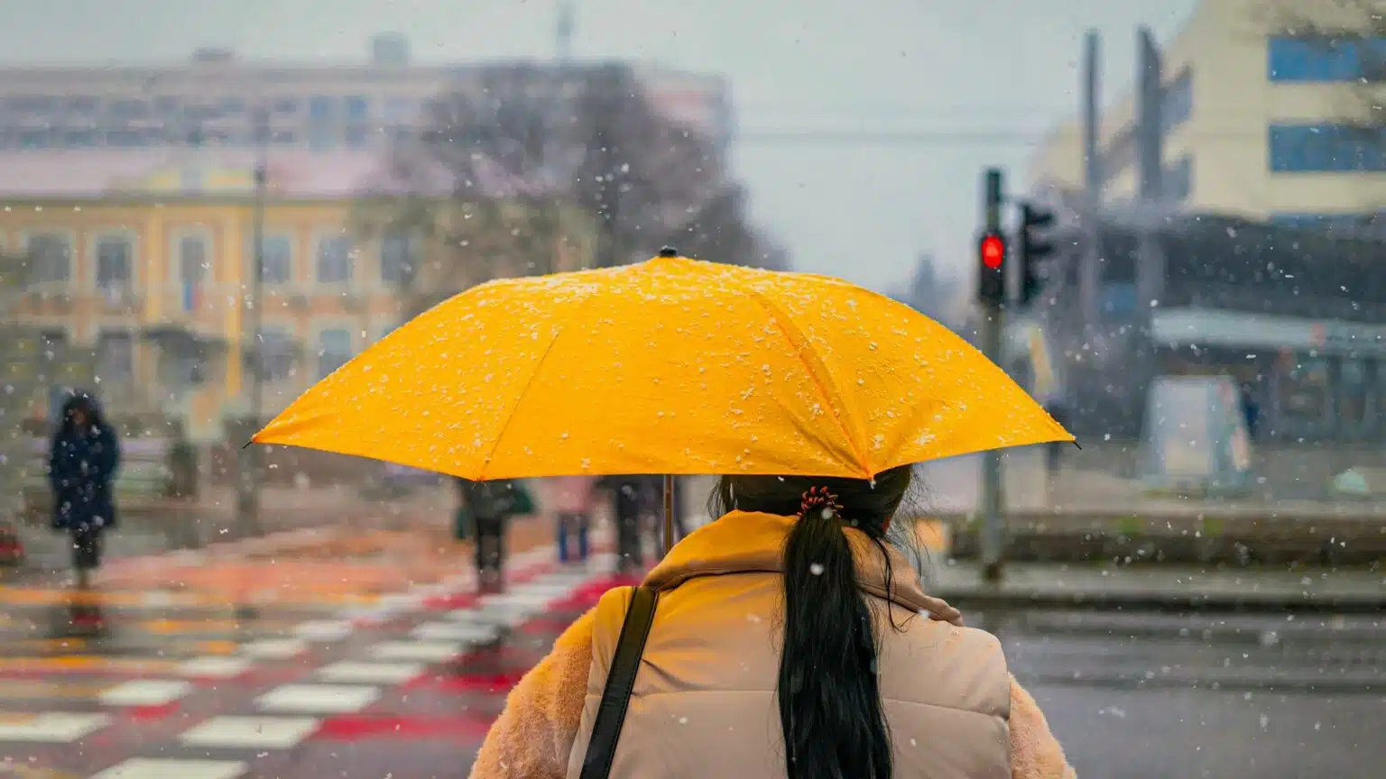 ەرتەڭ بىرنەشە وڭىردە قار ارالاس جاڭبىر جاۋادى