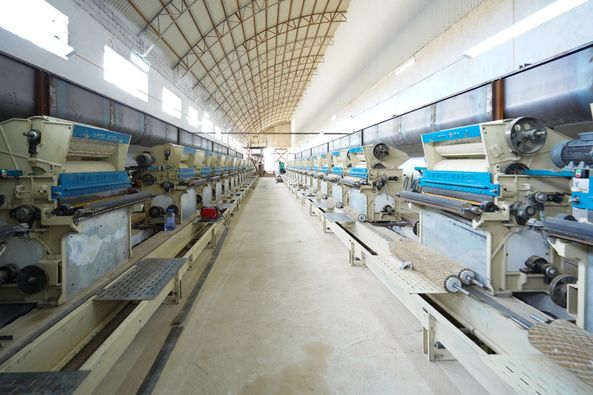 كوكشەتاۋدا جىلىنا 300 مىڭ توننا وسىمدىك مايى وندىرىلمەك