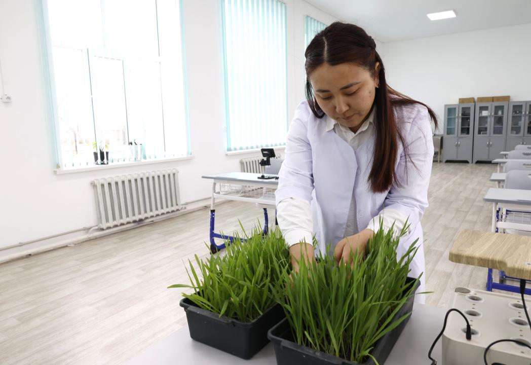 جەتىسۋداعى جاڭا ماماندىقتار لەگى