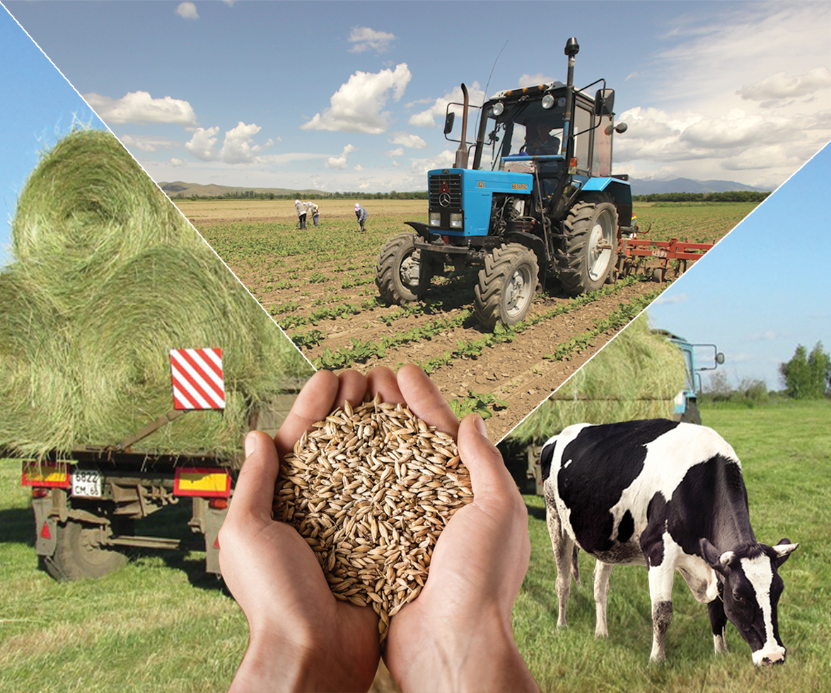 جەردى دۇرىس يگەرۋ – ستراتەگيالىق ۇستانىم