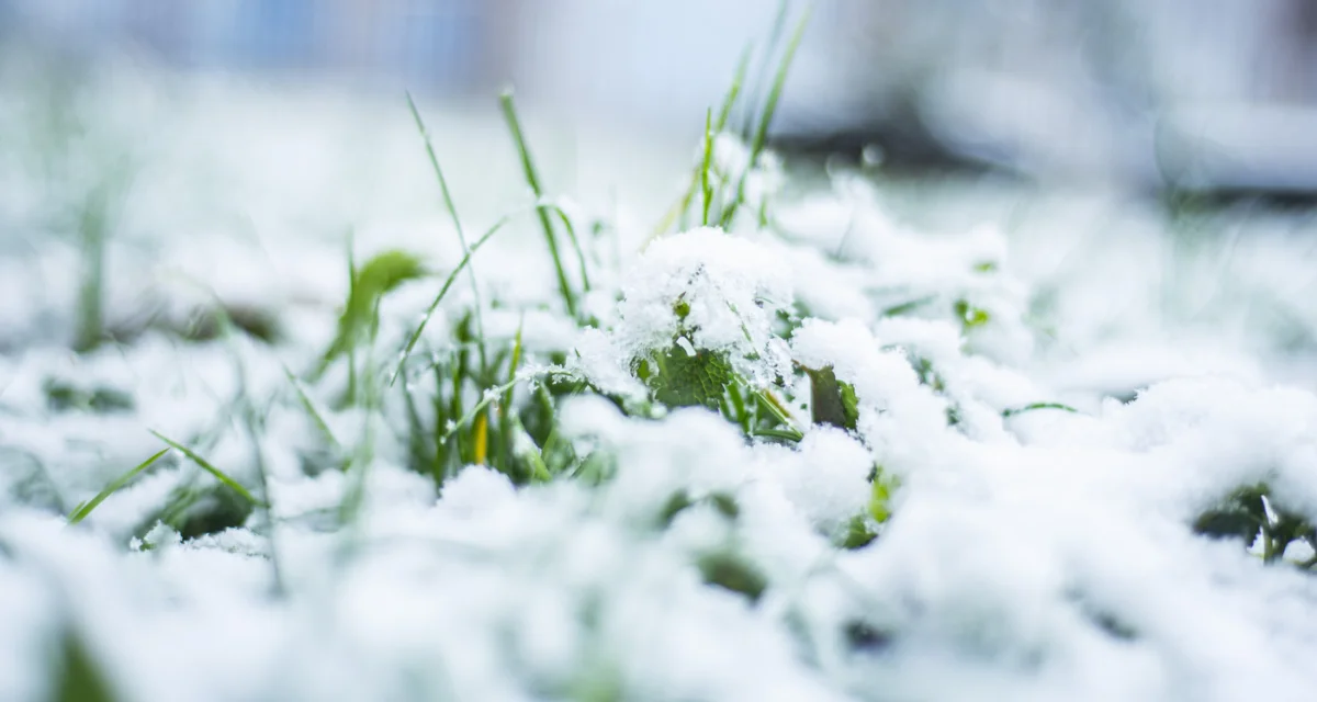 ەلىمىزدىڭ باسىم بولىگىندە اۋا رايىنا بايلانىستى ەسكەرتۋ جاريالاندى