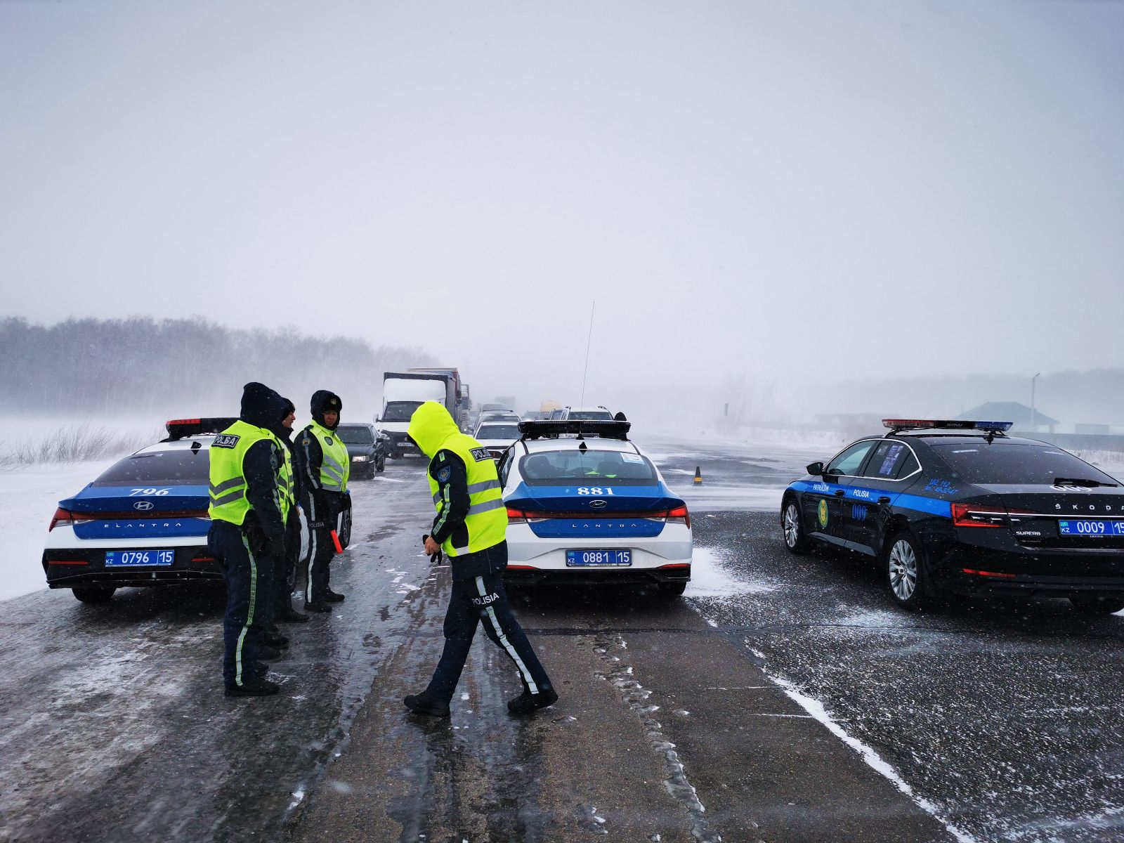 سولتۇستىك قازاقستاندا بارلىق باعىتتاعى جولدار جابىلدى