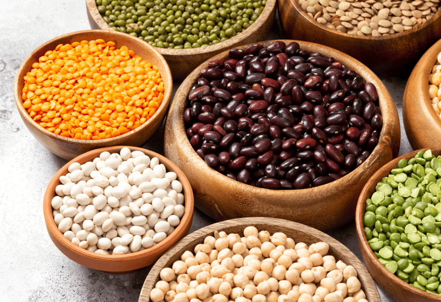 فەرمەرلەر 2025 جىلى بۇرشاق داقىلدارىنىڭ رەكوردتىق ءونىمىن جينادى