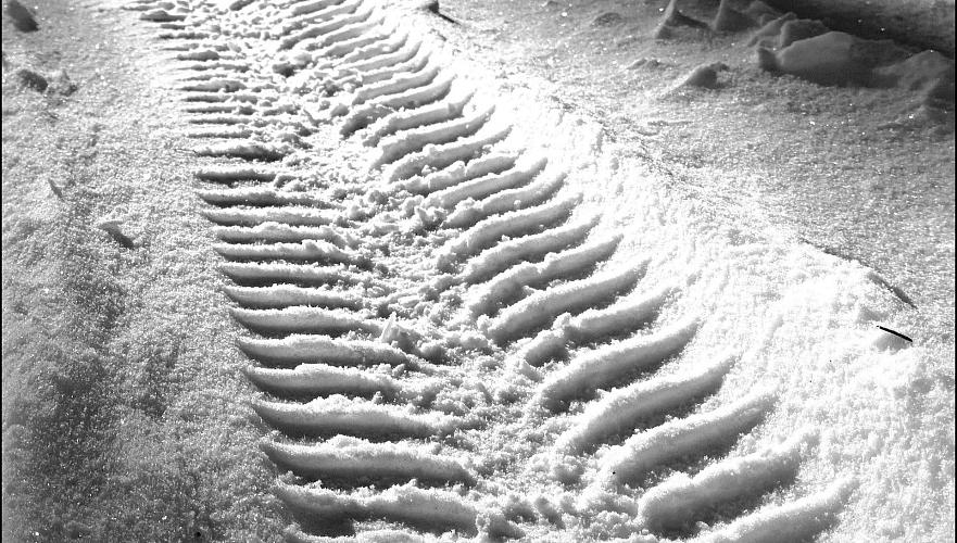 اقتوبە وبلىسىنىڭ تاسجولدارىندا كولىك قوزعالىسىنا شەكتەۋ قويىلدى