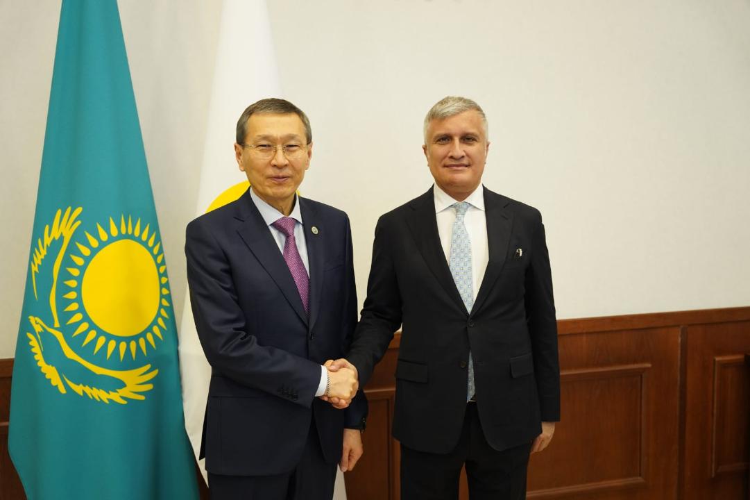 حالىقارالىق ميسسيا: اشىقتىق پەن جاريالىلىق