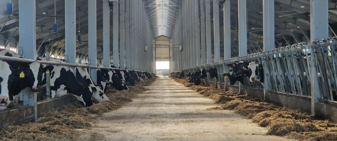 مال شارۋاشىلىعى: جەڭىلدەتىلگەن نەسيە نەشە پايىزبەن بەرىلەدى؟