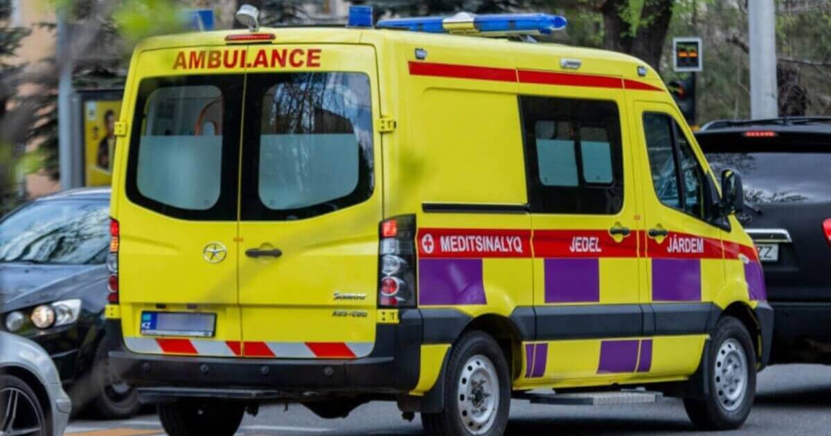 ەلوردادا جەدەل جاردەم فەلدشەرىنە شابۋىل جاساعان كۇدىكتى ۇستالدى