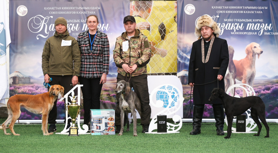 الماتىدا قازاقى تازىعا ارنالعان كينولوگيالىق ءىس-شارالار ماۋسىمى اشىلدى