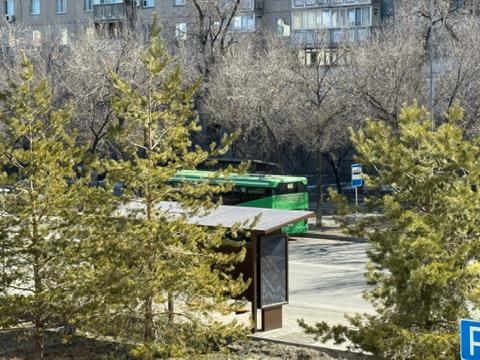 جەتىسۋدا قوعامدىق كولىك تەگىن قىزمەت كورسەتىپ جاتىر