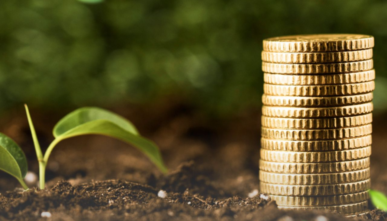 كوكتەمگى ەگىس ناۋقانى: بيىل قانشا فەرمەر جەڭىلدەتىلگەن نەسيە الدى؟