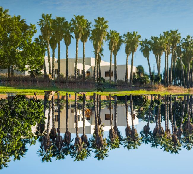 فلوريدا تۇرعىنى ChatGPT-ءدىڭ كومەگىمەن ءۇيىن 5 كۇندە ساتقان