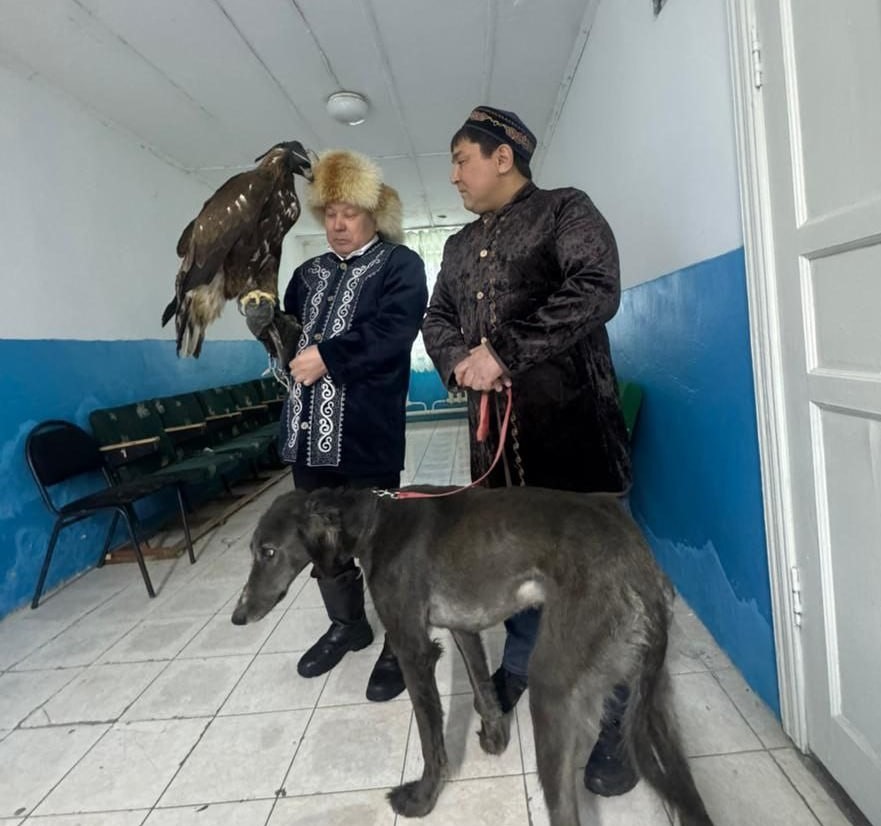 اقمولا وبلىسىندا ەرەكشە كورىنىس: سايلاۋشىلار ۋچاسكەگە بۇركىت پەن تازى الىپ كەلدى