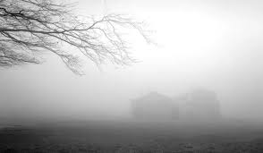 ەلىمىزدىڭ باسىم بولىگىندە تۇمان جانە كوكتايعاق بولادى