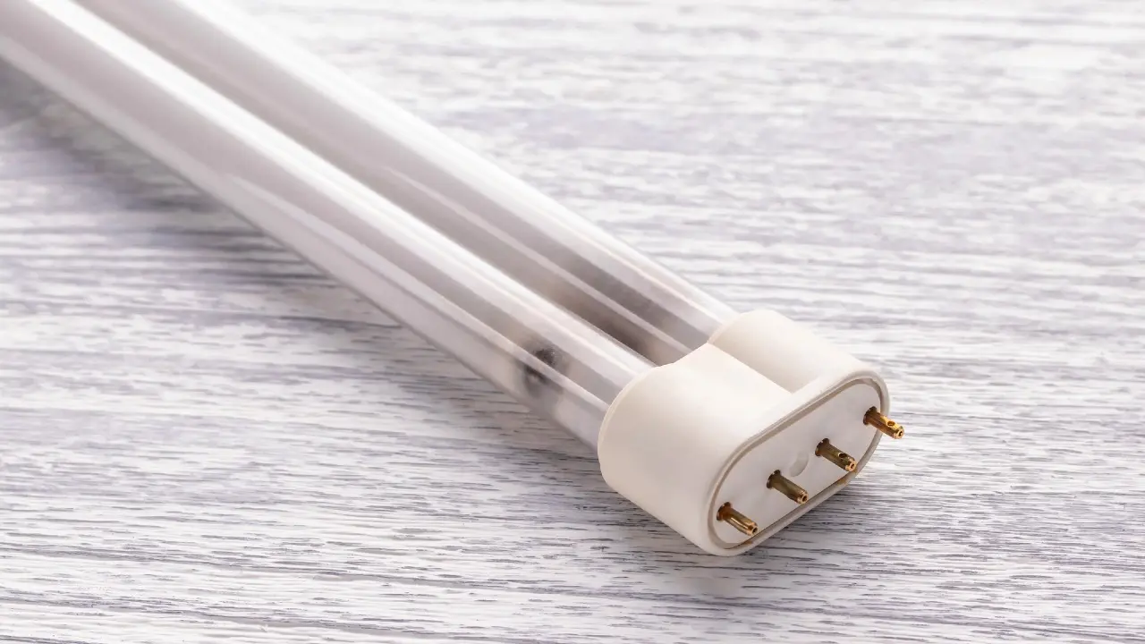 جەتىسۋ وبلىسىنداعى بالاباقشادا قاۋىپتى قالدىقتار ساقتالعان