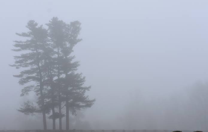 ەرتەڭ ەلىمىزدىڭ باسىم بولىگىندە تۇمان تۇسەدى