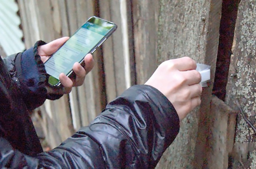 اقتوبە وبلىسىندا ەسىرتكى بيزنەسىن جۇرگىزگەندەر 17 جىلعا سوتتالدى