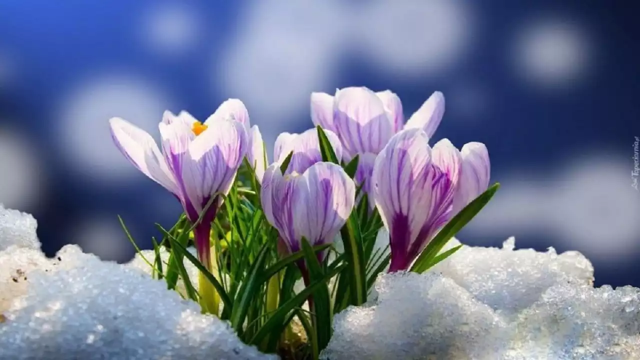 19 ناۋرىزدا ەل اۋماعىندا كۇن اشىق بولادى