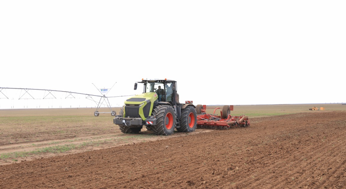 اگرارلى ارقا