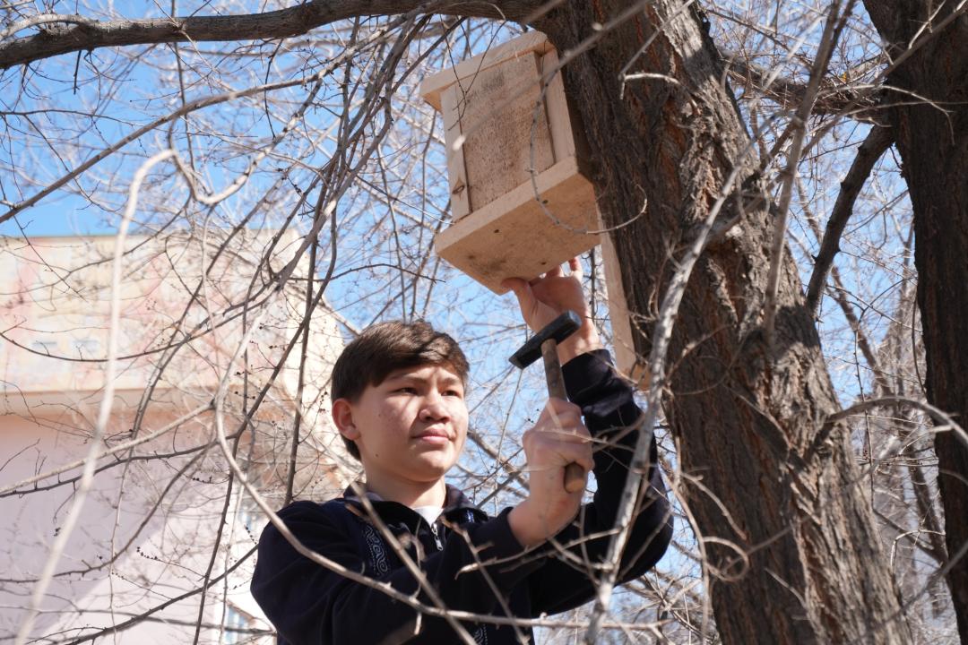 قۇستارعا قامقورلىق