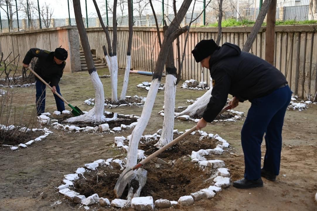 اسكەري قىزمەتشىلەر تازارۋ كۇنى اعاش كوشەتتەرىن وتىرعىزدى