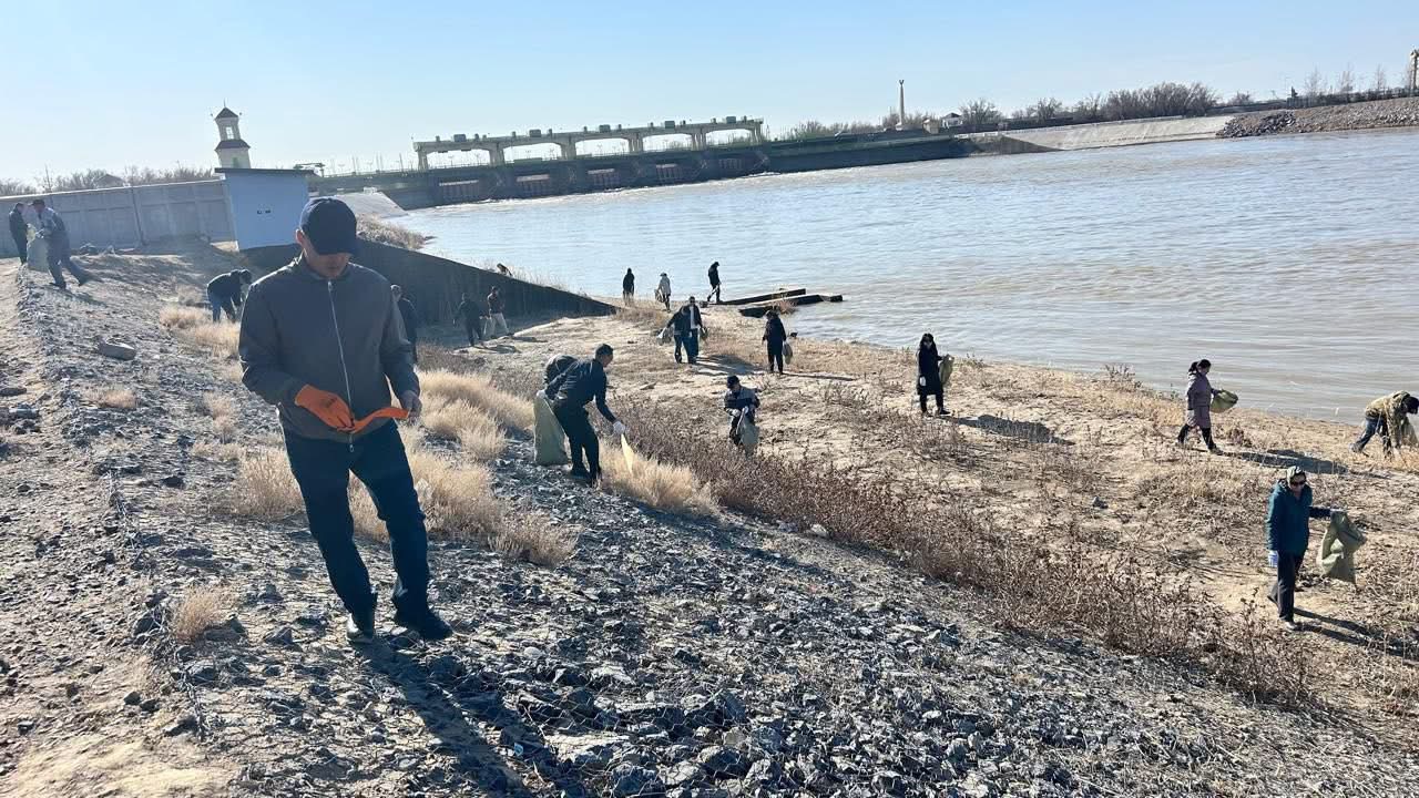 تازارۋ كۇنى ەل اۋماعىنان 2,7 توننا قوقىس جينالدى