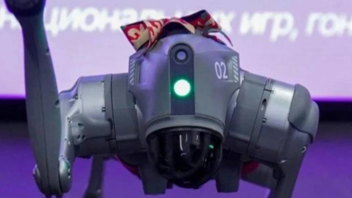 جاڭا فورماتتاعى ناۋرىز مەرەكەسى: روبوت-كوكپار ەل تۇرعىندارىن تاڭعالدىردى