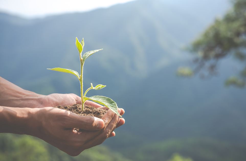 ۇلتتىق ءبىلىم اكادەمياسى ەكولوگيالىق ءبىلىم ستاندارتىن ازىرلەپ جاتىر